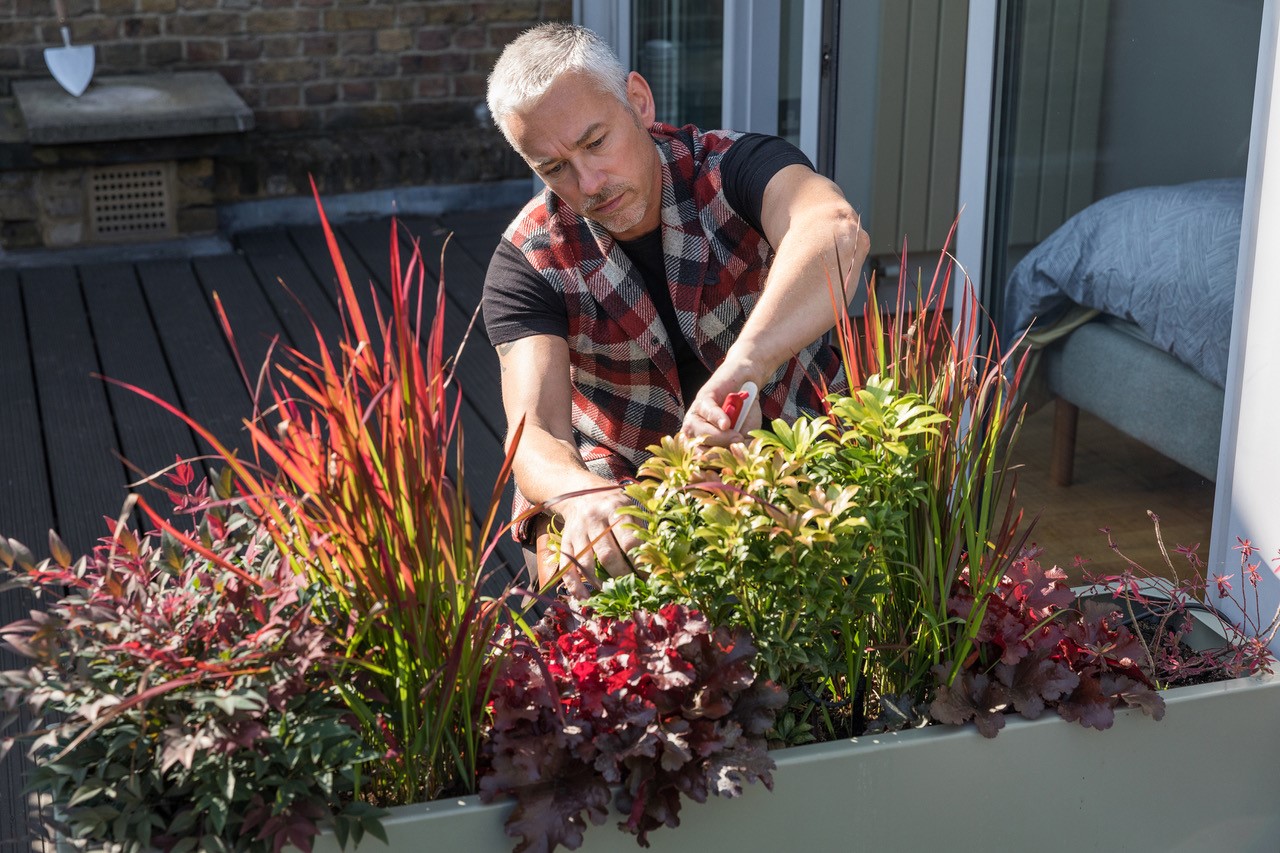 Supporting image for Designing High-Rise Gardens
