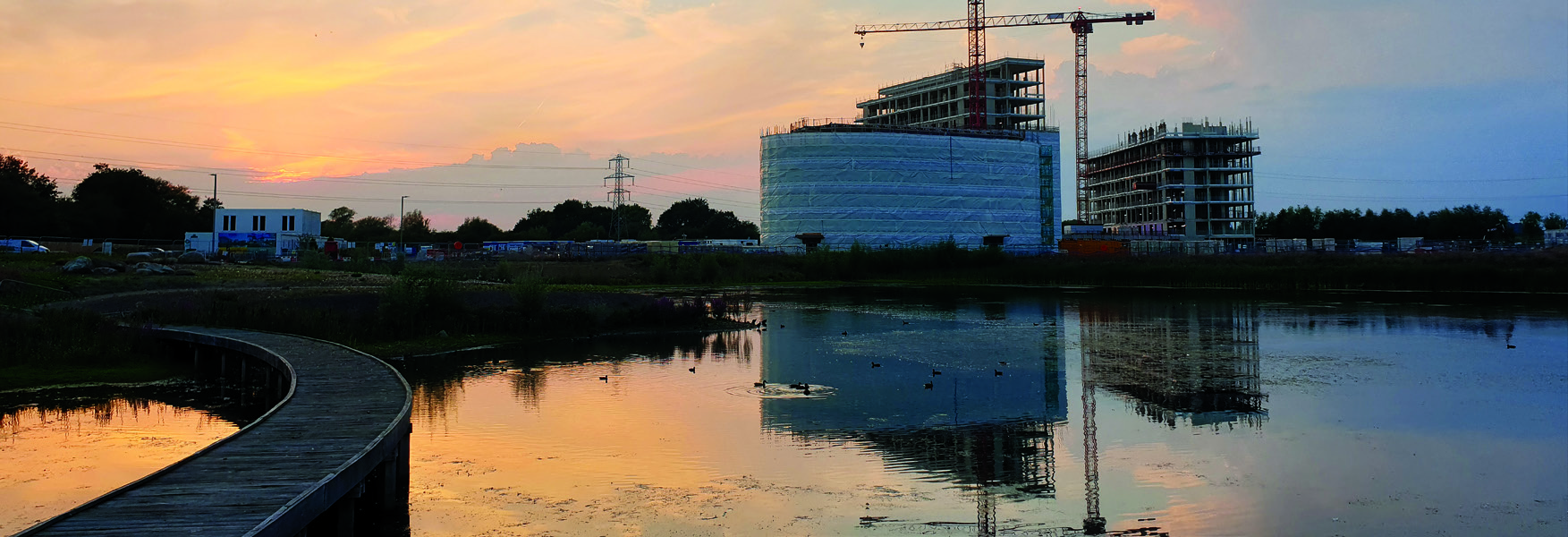 Supporting image for Healthy, Green and Biodiverse Buildings